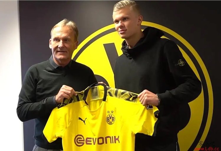 自加盟LN 自加盟LN