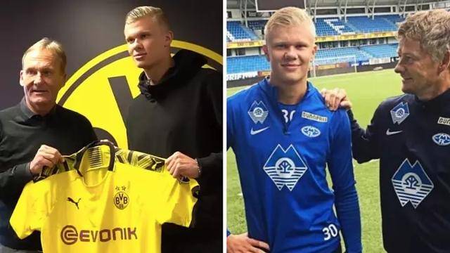 展性体现 展性体现